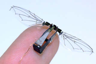 Illustration for article titled The Most Uncanny Robotic Animals That Humankind Has Ever Invented